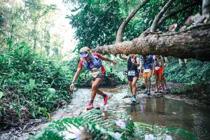 BIB: 
                            <button type="button" onclick="openModal(25443880)" class="btn btn-primary btn-sm float-right btn-popup" data-toggle="modal" data-target=".modal-high-quality">
                        <i class="fas fa-shopping-cart"></i> Add to Cart
                    </button>
                                            <button type="button" onclick="isThisMe(25443880, true)" class="btn btn-success btn-sm float-right btn-popup btn-isme hidden" data-toggle="tooltip" data-placement="bottom" title="นี่คือรูปของคุณใช่ไหม คลิกที่นี่เพื่อเอาเข้าอัลบั้ม">
                        <i class="fas fa-plus"></i> Add to album
                    </button>
                    <button type="button" onclick="isThisMe(25443880, false)" class="btn btn-warning btn-sm float-right btn-popup btn-isnotme hidden">
                        <i class="fas fa-ban"></i> Remove from album
                    </button>